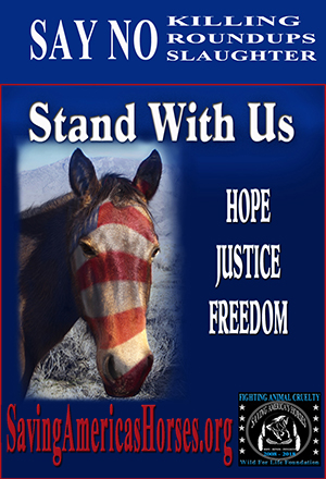 Stand With Us